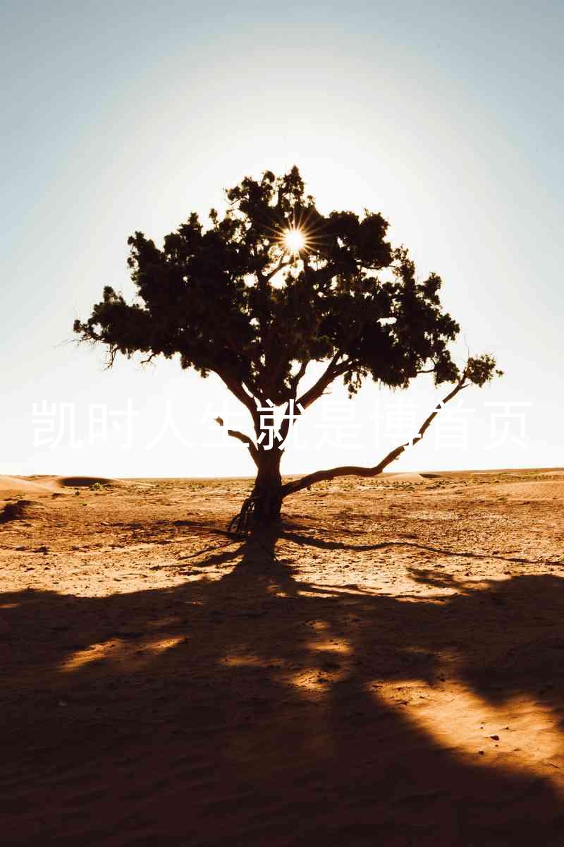 凯时人生就是博首页