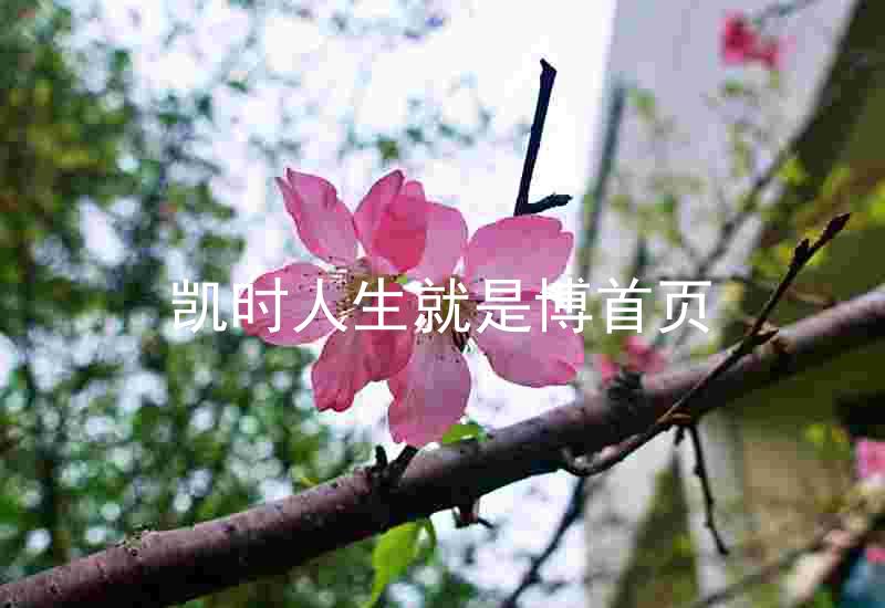 凯时人生就是博首页